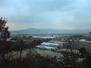 ����R�R���B�R���ӂ��Ƃ̃X�W�̂悤�Ɍ�����̂����i�΁B