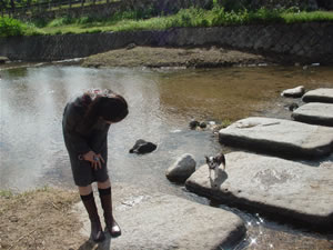 ������ł̂������