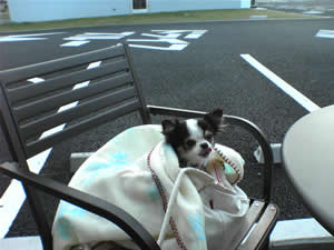 �Ƃ肠�����A���߂͌��C�ł�