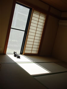 �ЂȂ��ڂ����H���邢�͊O�ɏo�����̂��i�H