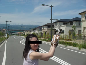 �����E�H�[�^�[�t�����g�̊X���݁B�P�[�u���ނ͖��݂���Ă��ċ󂪍L��������ꂽ�B