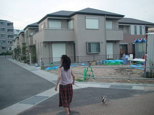 ���V�݉ƁB����͎𑠂����������悤�Ȋ�K�X