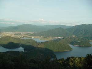 �܂��ɐ�i�B�L�����H1000�~���̉��l����B