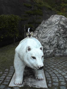 �����i�΃p�[�N�E�F�C����̌����ɂāB�n���{�e����ɃK���`���āB