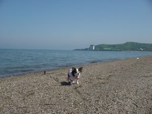 �g�ł��ۂɂ������Ԋ���Ă����悤�ł��B