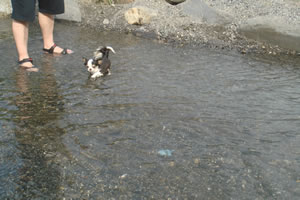 ���قǕ|�����Ă͂��܂���B