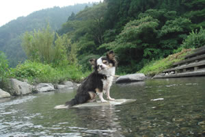 ���c���ꂽ�E�E�E