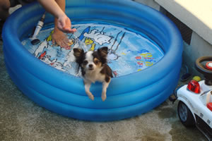 �C�����悷���E�E�E