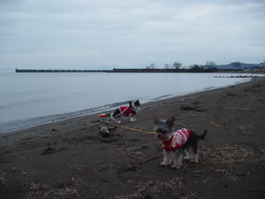 �q�T�V�u���̂�����ۂł����B