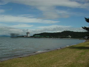 ���l�ԃR���e�X�g�̔��ˑ�ƂȂ�₮��̉��i�B