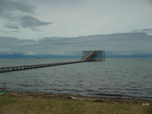 �΂������Ă���̂͑�J�Ő삩�痬�������y���̂����B