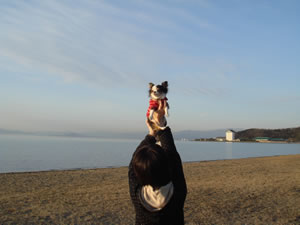 ���߂���A�����Ƃ����Ɨ[�������߂Ă��܂����B