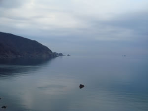 ���ꂢ�ȃg�R���ł�