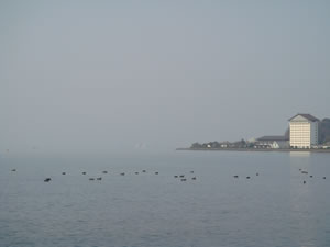 �Ώ�ɂ̓J�����񂪂ӂ�ӂ�`�ƁB