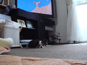 ���߂�����S�z�����ł��I�H