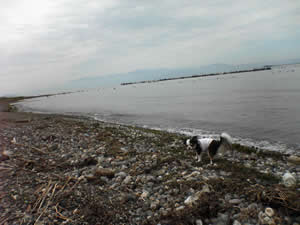 一仕事終わり、散歩にもリラックスして行けます。