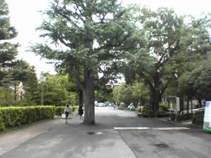 ���u�Б�L�����p�X�̗l�q