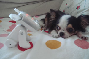 ���J��񂱂ɋ����Ò�