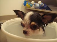 �����͂��߂̵�ۂ̓��ł����B