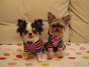 DEATH�������܂���ɂ������̕��𔃂���age���B