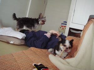 �Q�Ă�DEATH���ɂ܂Ƃ������܂���B�B