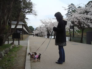 ���{���O��