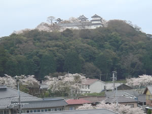 ����猩������͂قږ��J���IClick to Big.