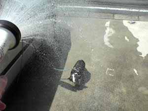 ���Ԃ͂��߁�����ɐ����т��������B����̓R�����ĎԂ̉��ɉB��Ă��܂����B