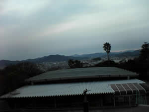 �ԈႦ�ăL�����p�X�̂����΂�W���̍����ꏊ�ɁI�s�X���悭���n���܂����B