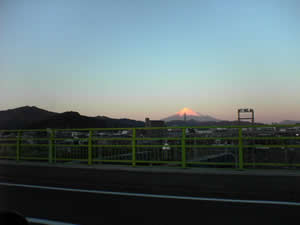 �؍ݒ��̓X�o�������x�m�R�̒��߂����x�����\�ł��܂����B����͎O���ɔ��ۂɘH�ォ��B�e�������́B