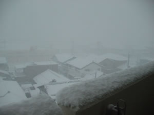 �z���C�g�A�E�g�I�H