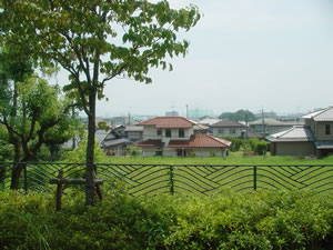 �ΐ��̂Ƃ��鍂�䂩��B�摜�ł͌��ɂ������A�������ϗ��ԁi�C�[�S�Y�j�Ɣ��i�Α勴���]�߂�BClick to Big.