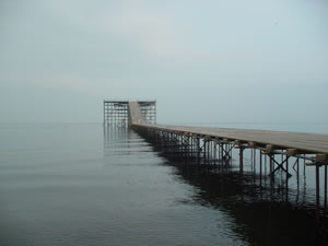 �t���C�g�₮��N�������B����ȏ������яo�Ƃ́A�Ȃ�Ė��m�炸�ȁcClick toBig.