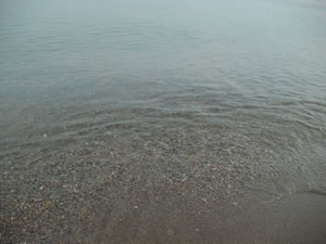 ���̎����ɂ��ẮA�ΐ��͋����قǐ���ł����BClick to Big.