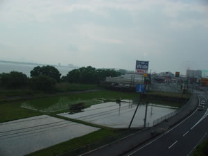 ����w��茘�c���ʂ�]�ށB�摜�ł͌����Ȃ����A����ɂ͔��i�΂��L�����Ă���BClick to Big.