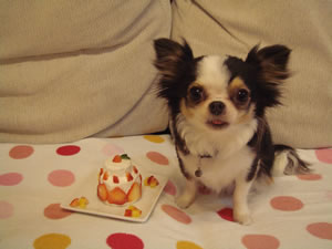 ���킢�����߁B�a�������߂łƁ[�B���H���̗l�q�̓N���b�N�ɂāB