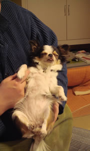 �H��A�����x�Ȃ��߁B�f�u�l�R�̂悤���E�E�E