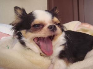 ���߂�������C�����ł����B