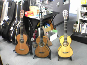 ��ؐ搶�������e������Ă��M�^�[�B�܂񒆂̂̓r���e�[�W���̂炵���B