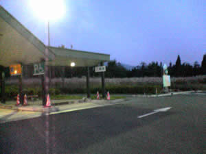 ���Ԃ񖭍�SA���ƁE�E�E�B�����X�X�L�����h��