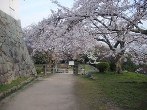 �F������̍��B�قږ��J�ł��B