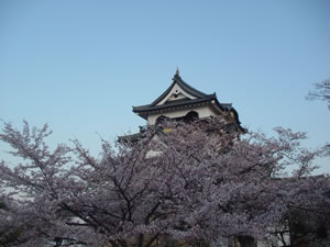 ���ɖ������F����BClick to Big.