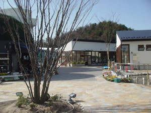 �v�����i�[�h���̓X�X�B�܂��I�[�v���O�̏��������悤���B