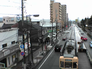 �s�d�x�R��w�O�̗l�q�B�V�C���ǂ��ƗY��ȗ��R�A�􂪔q�߂��̂ɻ��ȿ�I