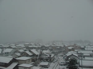 �邩��̍~��ŁA���i�΂����l�s�X���ɐ��R���ȁ[��������Ȃ��B