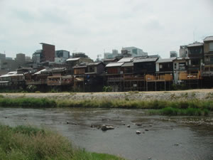 ����ɂ͑����̎V�~������o���Ă����B�Ė{�Ԃ����������ł���B