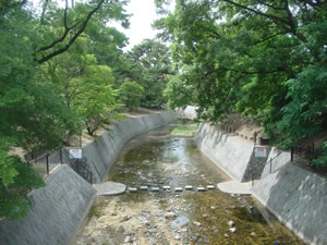 �{���q�e���̏g��B�����Ɏ����Ă��g�e����������ł��܂����B