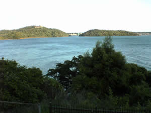 �l����SA�ɂāB�т�΂Ƃ͂܂���Ⴄ�B