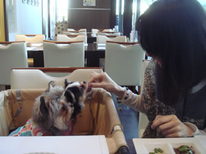 �����������ɂق��΂邤�߁�����B