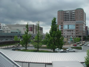 ��}���{�k���w����w�O���B�e�B���艜�ɍ�}���{�K�[�f���Y�������A�����܂ł͓����������~�݂���Ă����B